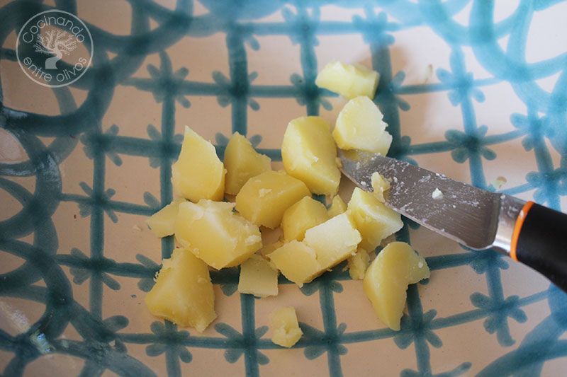 Patatas-con-alioli-de-leche-y-flarrosquin-(12)